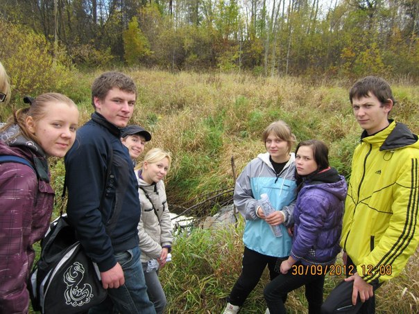 Описание изображения