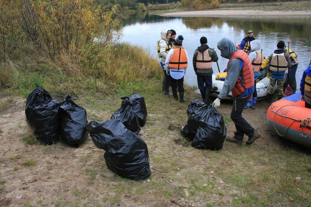 Описание изображения