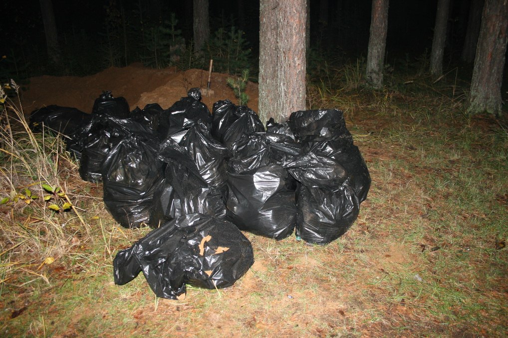 Описание изображения